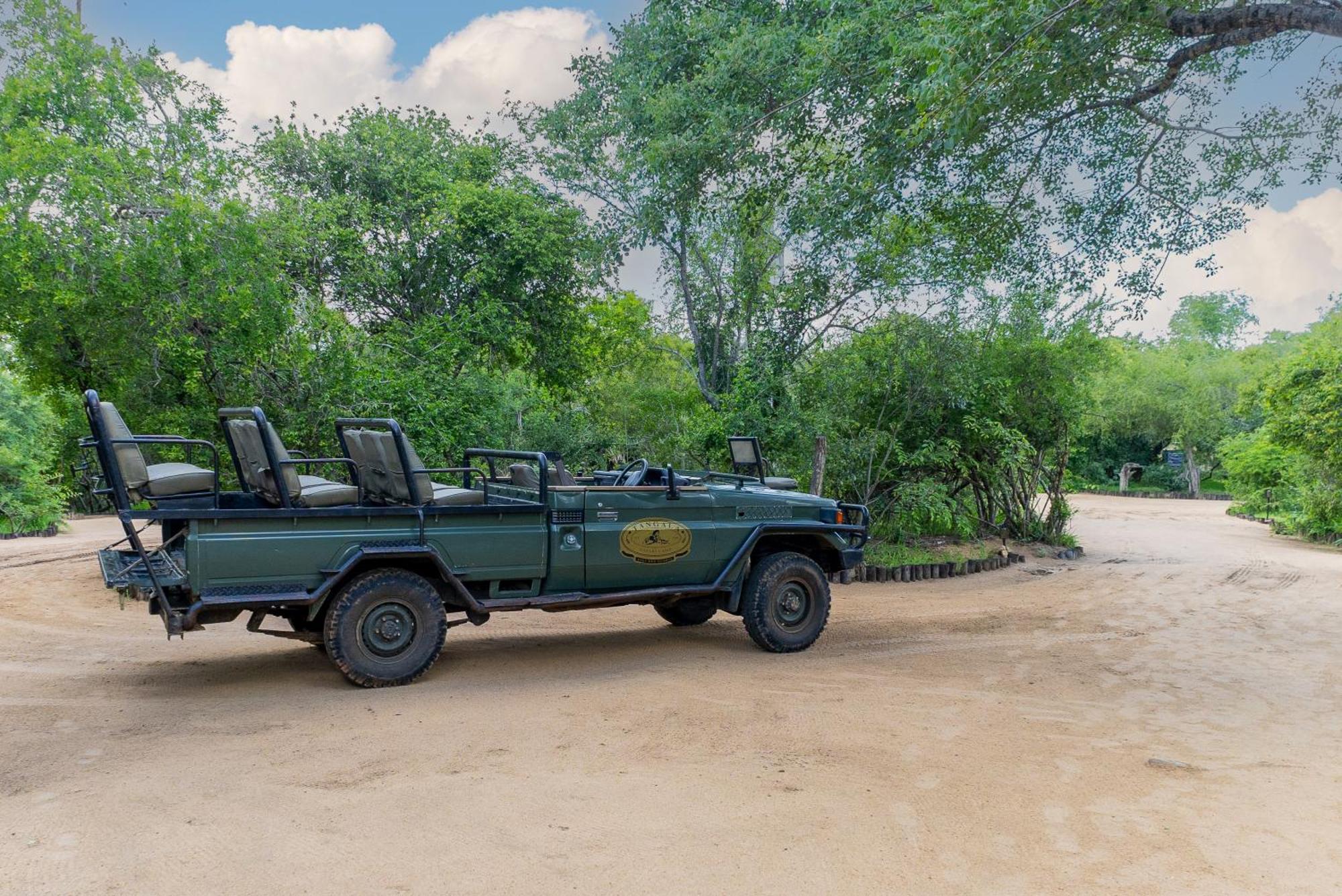 Villa Tangala Safari Camp à Domaine de chasse de Thornybush Extérieur photo