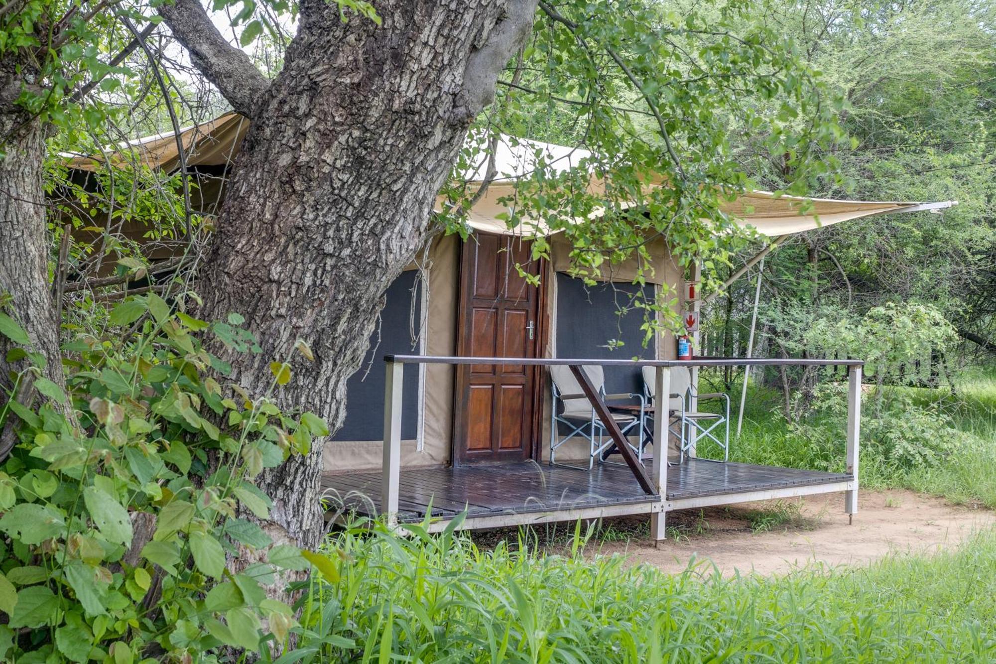 Villa Tangala Safari Camp à Domaine de chasse de Thornybush Extérieur photo