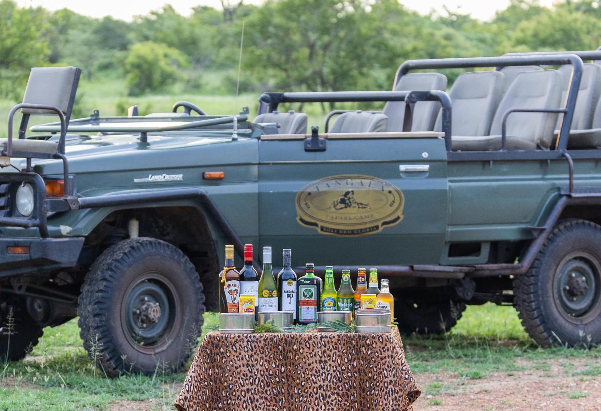 Villa Tangala Safari Camp à Domaine de chasse de Thornybush Extérieur photo
