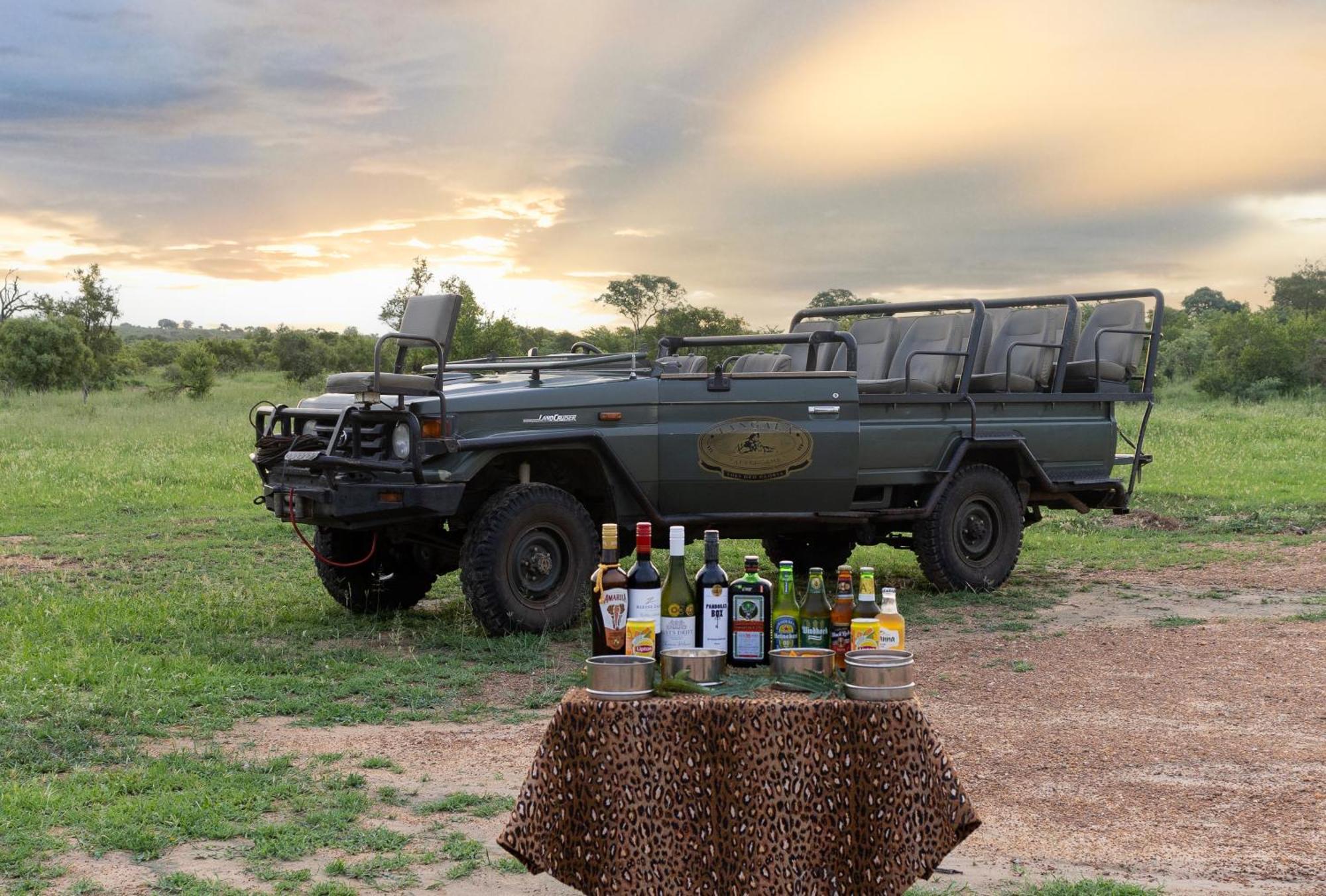 Villa Tangala Safari Camp à Domaine de chasse de Thornybush Extérieur photo