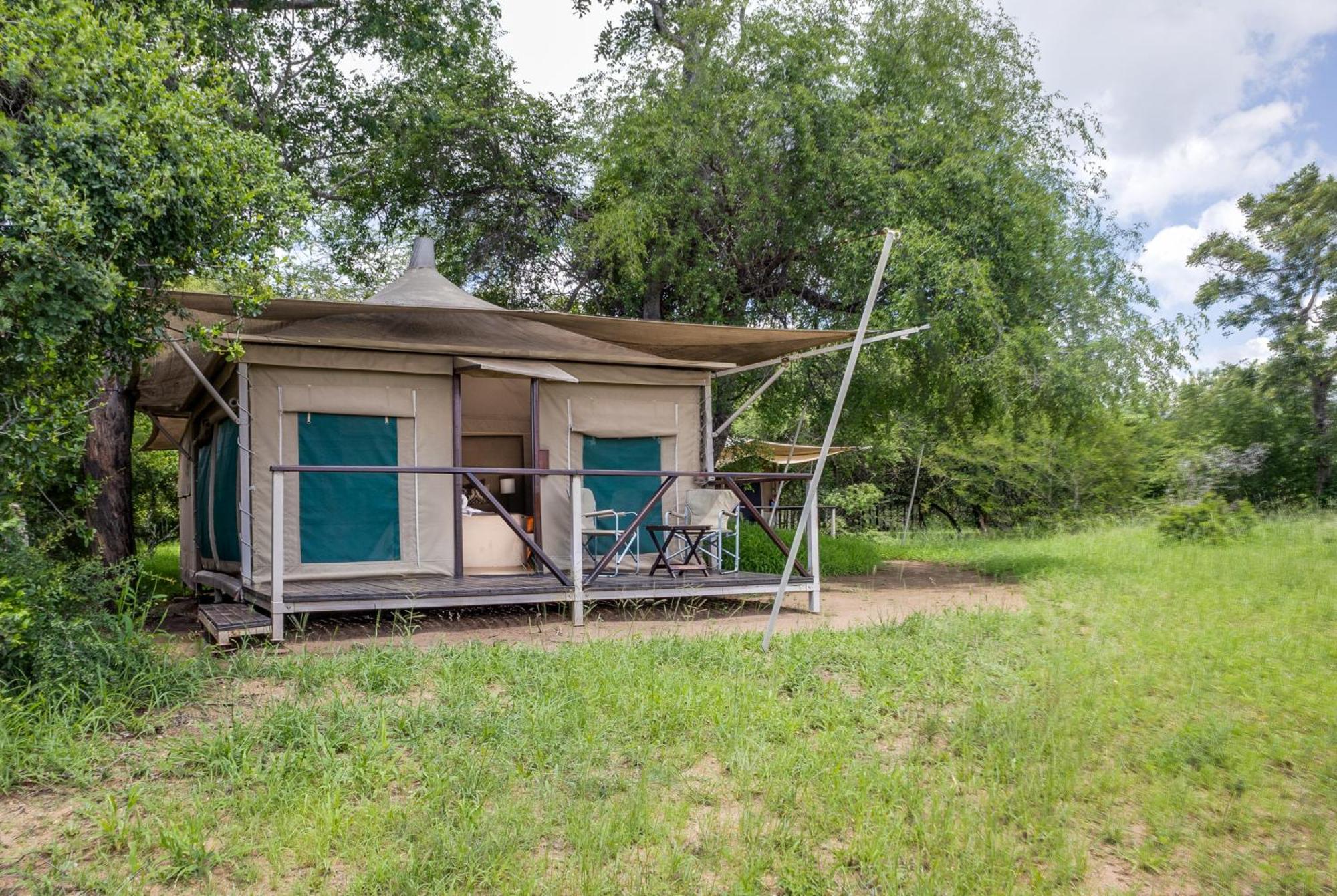 Villa Tangala Safari Camp à Domaine de chasse de Thornybush Extérieur photo