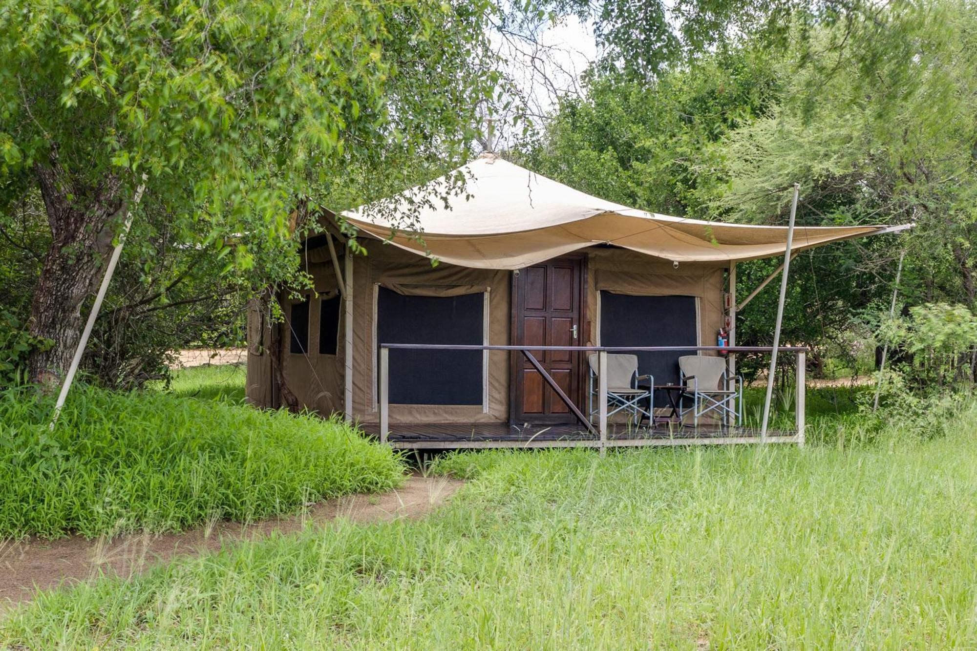 Villa Tangala Safari Camp à Domaine de chasse de Thornybush Extérieur photo